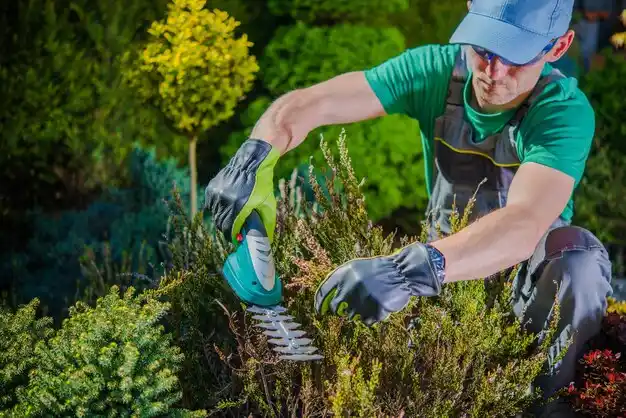 landscaping services Platte Woods